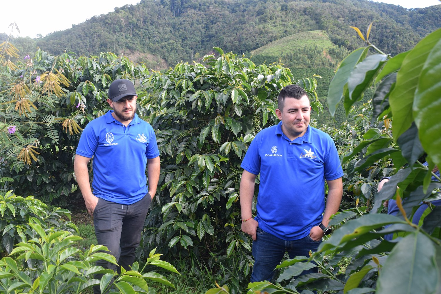 Colombia Anaerobic Washed Coffee | Finca Las Flores – OZO Coffee