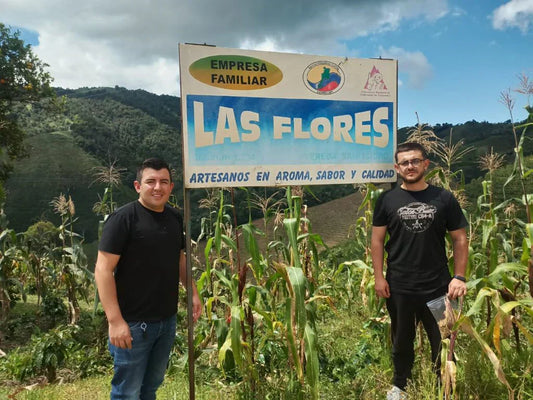 Discover Sidra and Ombligon: Innovative Microlots from Jhoan Vergara of Finca Las Flores
