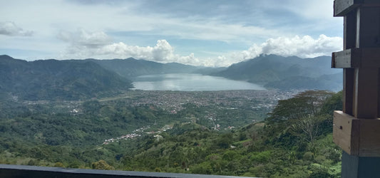 Sumatra Aceh Tengah: A Taste of the Highlands