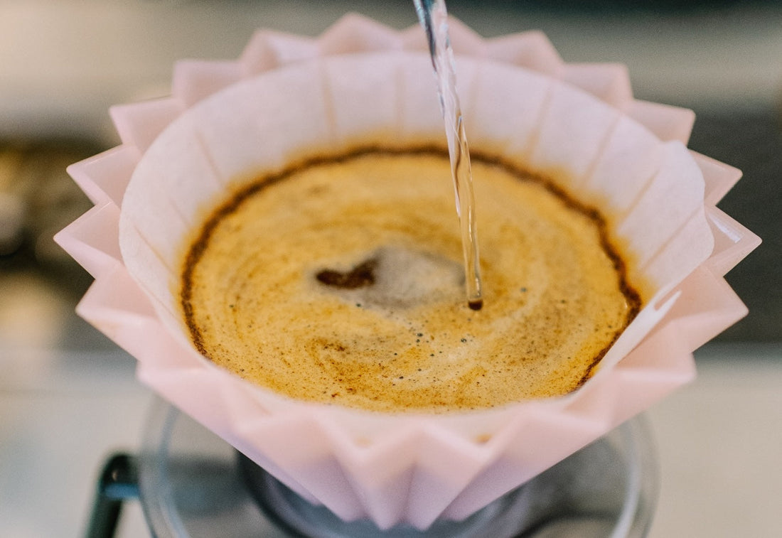 Brewing Great Coffee at Home: Our Favorite Ways to Bring Ozo Home