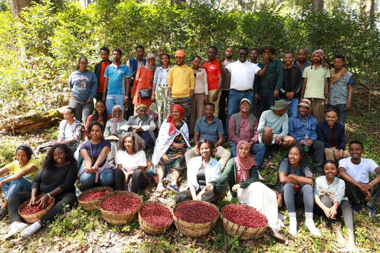 A Bright, Fruit-Forward Ethiopian Natural from Shakiso's Kayon Mountain Farm