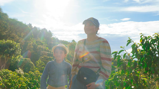 A Rare Find from Cajamarca: Peru Sujeily Vasquez Pérez Special Release Geisha