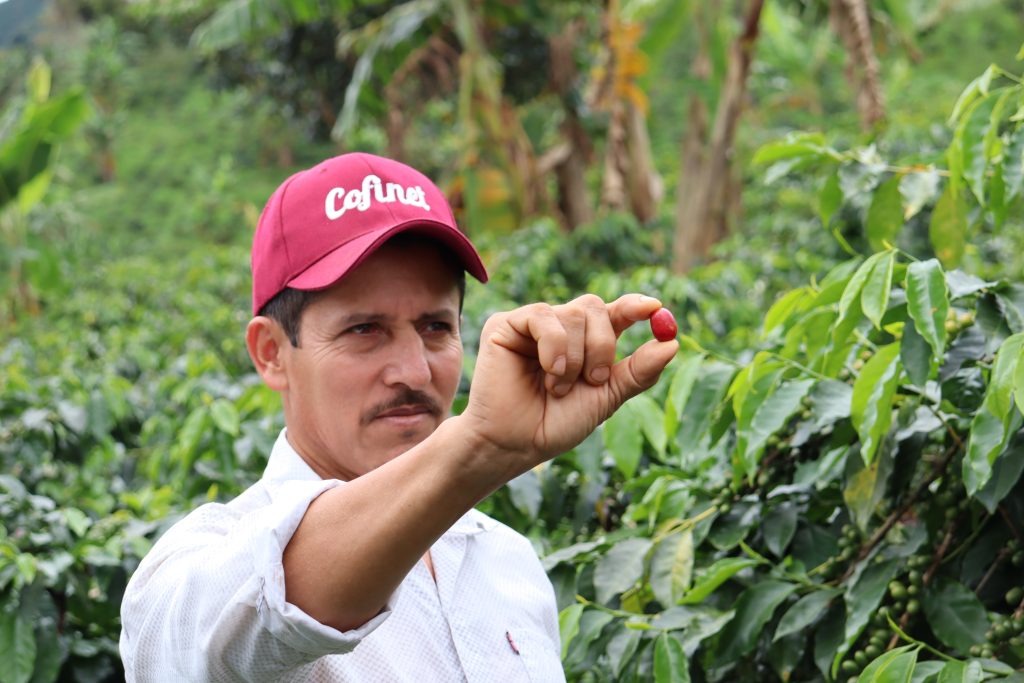 New Release | Colombia Luis Calderon Pink Bourbon + Colombia Jairo Arcila Chiroso EF2