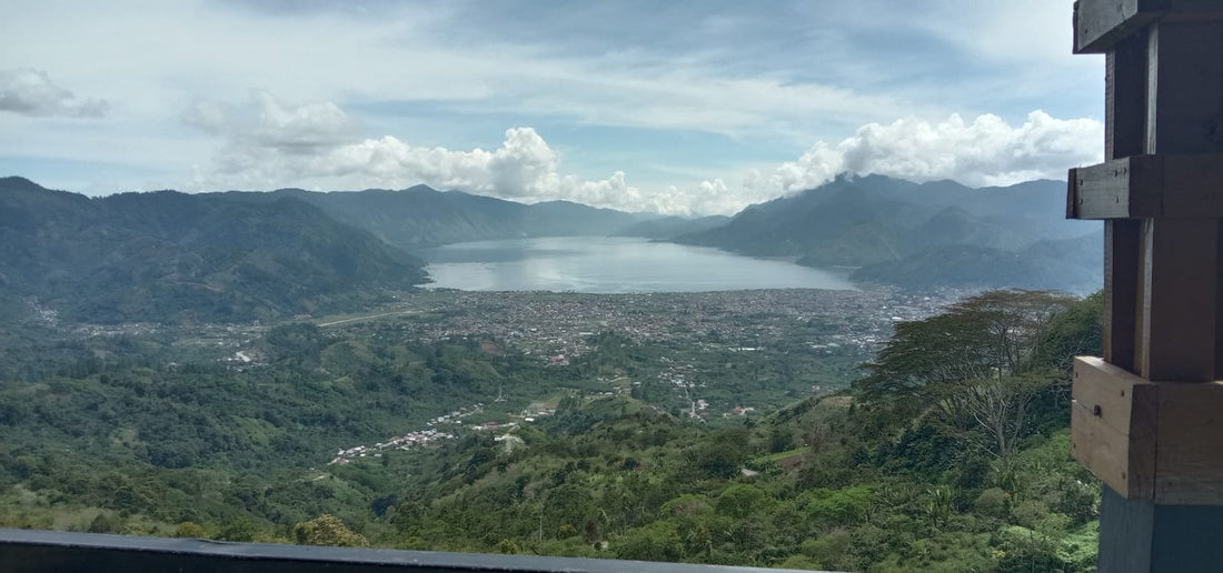 Sumatra Aceh Tengah: A Taste of the Highlands