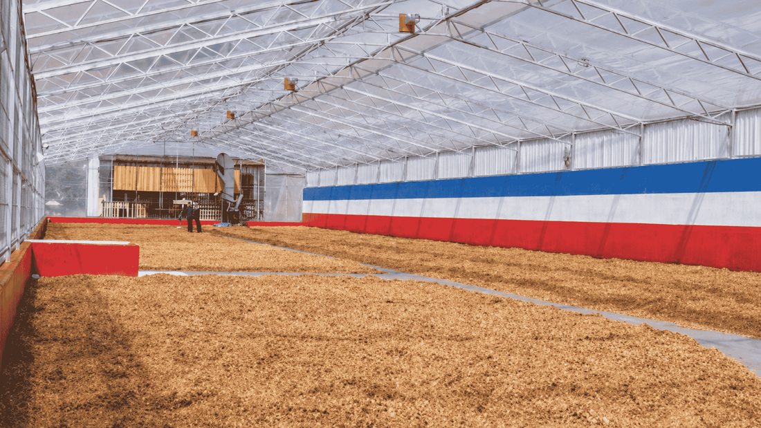 Costa Rica Las Lajas: A Black Honey Sarchimor Microlot from Finca El Cerro