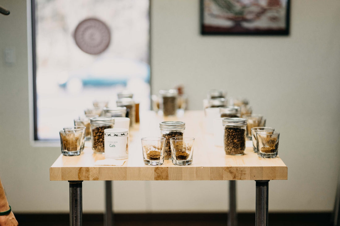 Coffee Cupping 101: How We Taste, Score & Perfect Every OZO Coffee Roast