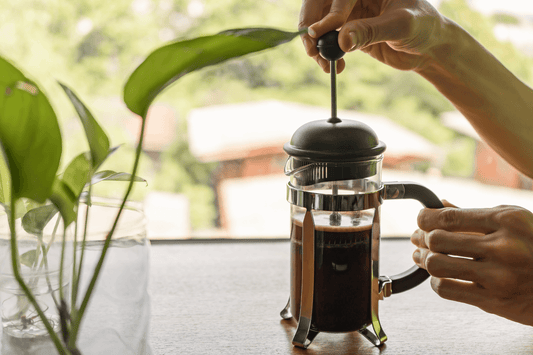 OZO Coffee French Press Home Brew