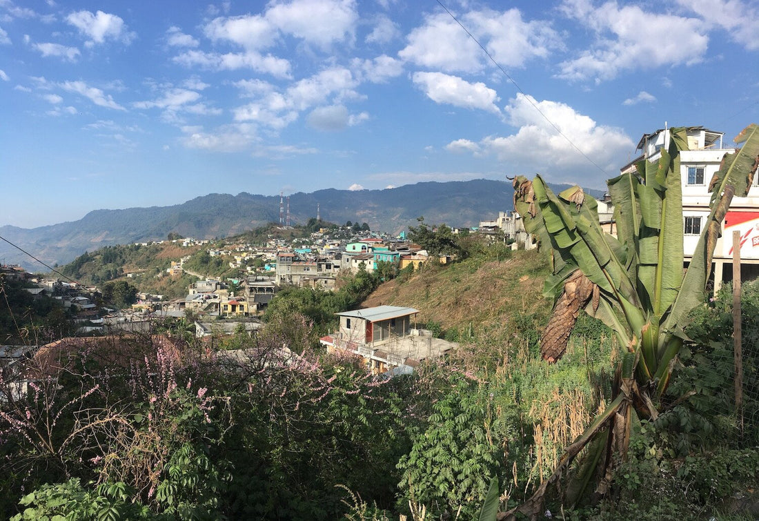 guatemala CODECH Cooperative