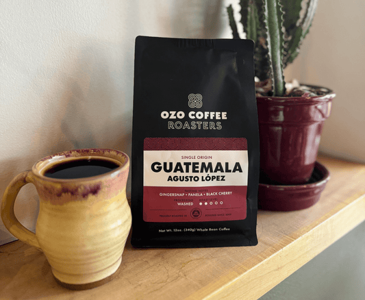 Welcoming Agusto López: Our Final Guatemalan Microlot of the Season