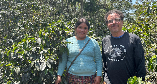 Guatemala María Romalda: A Washed Caturra & Bourbon Microlot from CODECH