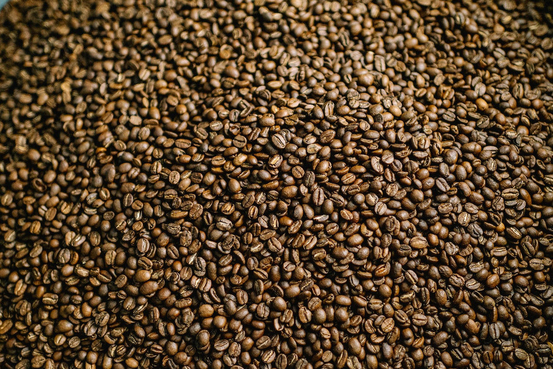 How to Store Coffee Beans to Keep Them Fresh