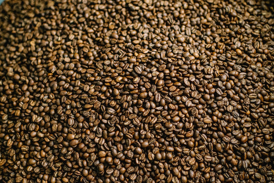 How to Store Coffee Beans to Keep Them Fresh