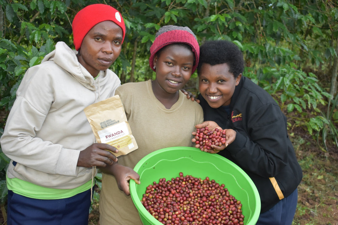 Rwanda Sholi Coffee: A Naturally Processed Bourbon Supporting Women in Coffee