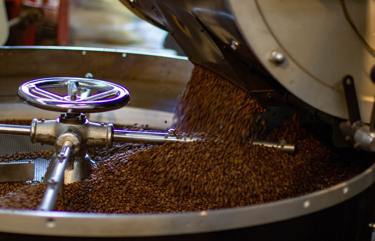 Private Label Coffee Roaster & Wholesale | OZO Coffee – OZO Coffee Roasters